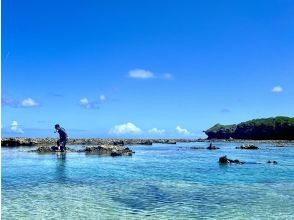 プランの魅力 探検スタイルも、シュノーケリングスタイルも の画像