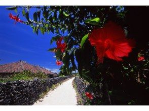 プランの魅力 竹富島の白砂の道 の画像