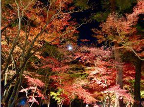 プランの魅力 Nagatoro Autumn Night Tour の画像