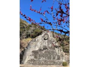 プランの魅力 Big Buddha Square の画像