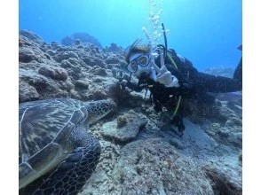 プランの魅力 海の生き物が身近に！ の画像