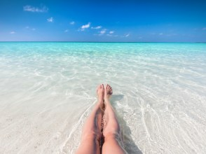 プランの魅力 2名体制でプロ撮影。ドローン＆カメラ の画像