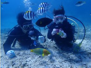 プランの魅力 Boat experience diving appeal の画像