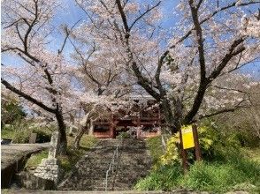 プランの魅力 Japan Heritage: Daifukuyama Honkeiji Temple の画像