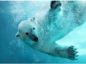 プランの魅力 Asahiyama Zoo の画像