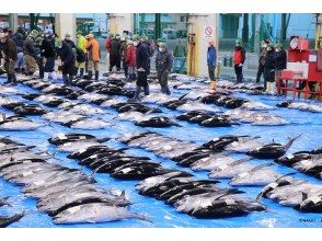 プランの魅力 圧巻！マグロの絨毯 の画像