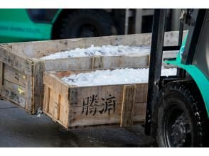 プランの魅力 「生まぐろ」の行方 の画像