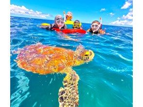 プランの魅力 ウミガメに大接近！遭遇率95％の高確率で会えます！ の画像