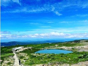 プランの魅力 Start from the tree line! の画像