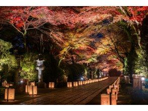 プランの魅力 石山寺 夜のライトアップ『あたら夜もみじ』の幻想的な世界 の画像