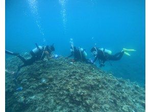 プランの魅力 体験中① の画像