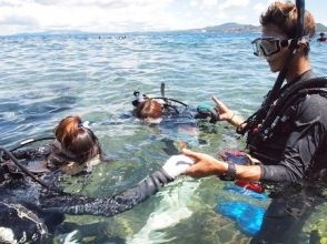 プランの魅力 足の着く浅場から練習スタート！！ の画像