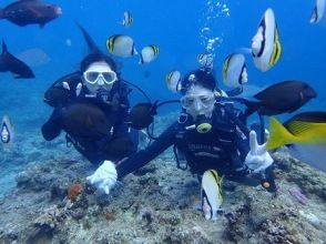 プランの魅力 水中世界を大冒険！! の画像