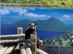 プランの魅力 昭和新山熊牧場 の画像