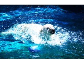 プランの魅力 旭山動物園 の画像