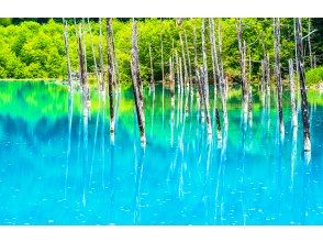 プランの魅力 Biei Blue Pond の画像