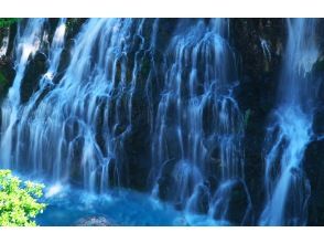 プランの魅力 Shirahige Waterfall の画像