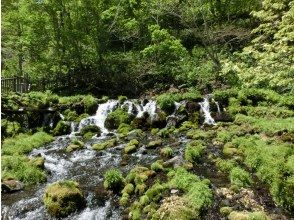 プランの魅力 양제산은 시코쓰 도야 국립공원 の画像