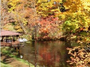 プランの魅力 羊蹄山は支笏洞爺国立公園 の画像