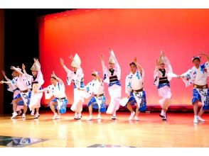 プランの魅力 徳島のグルメ・文化・自然を満喫できる1dayツアー の画像