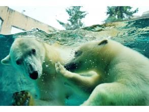 プランの魅力 Asahiyama Zoo の画像