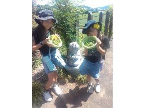 プランの魅力 石像のサクラちゃんと記念写真 の画像