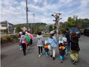 プランの魅力 勘助坂茶園でのお茶摘みにいってらっしゃーい の画像
