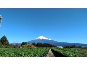 プランの魅力 冠雪の富士山(富士山Teaパーク) の画像