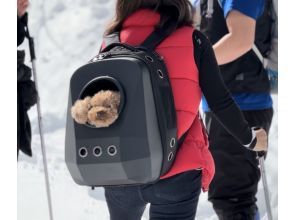 プランの魅力 ペット連れにも⼤⼈気！ペットと⼀緒に⾃然で遊びませんか？ の画像