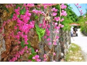 プランの魅力  の画像