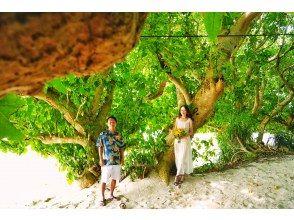 プランの魅力  の画像