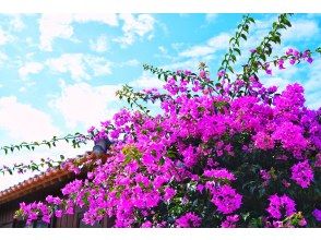 プランの魅力  の画像