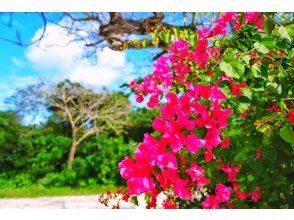 プランの魅力  の画像