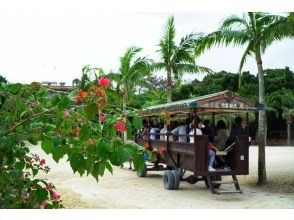 プランの魅力 水牛車(*^_^*) の画像