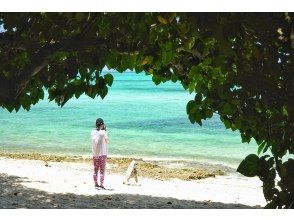 プランの魅力  の画像