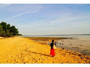 プランの魅力 ♪動画も無料でプレゼント の画像