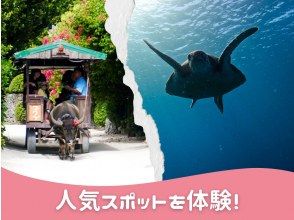 プランの魅力 人気のウミガメシュノーケリングと竹富島を楽しめる！ の画像