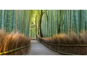 プランの魅力 竹林の道 の画像