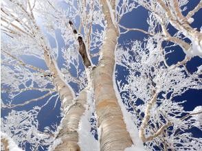 プランの魅力 Snowshoeing Adventure の画像