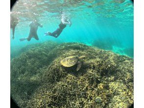 プランの魅力 The sea where sea turtles live の画像