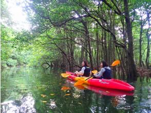 プランの魅力 Super classic! Canoe! の画像