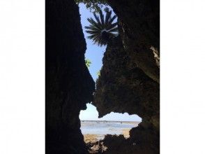 プランの魅力 まさか洞窟の出入口??? の画像