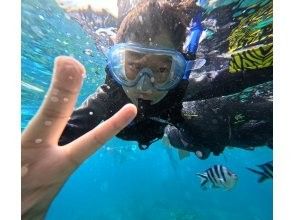 プランの魅力 深受孩子们的喜爱 の画像