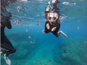 プランの魅力 喂鱼 の画像