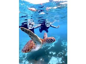 プランの魅力 There is a very high chance of encountering a sea turtle! の画像