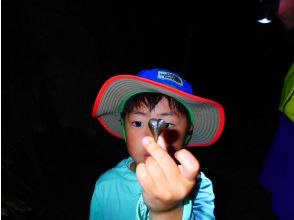 プランの魅力 Tour equipment rental is free! の画像