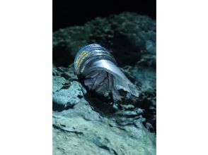 プランの魅力 직전, 당일 예약 물론 OK! の画像