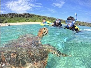 プランの魅力 เข้าชายหาดได้อย่างปลอดภัย! ดำน้ำตื้นสบาย ๆ ไม่เมาเรือ の画像