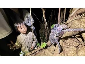 プランの魅力 Wild coconut crab discovered!! の画像