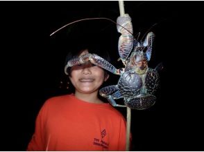 プランの魅力 Wild coconut crab discovered!! の画像